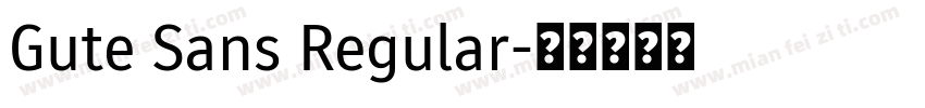 Gute Sans Regular字体转换
